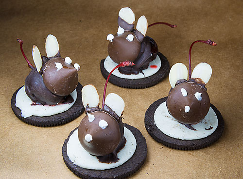 2012_52 chocolate mice