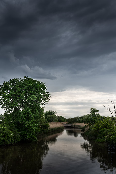Broad Dyke Wetlands Natural Area, New Castle, Delaware, photo by Danny N. Schweers 2019