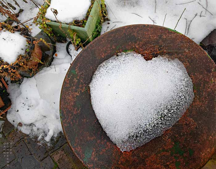 Photo of melting snow and ice shaped like a heart by Danny N. Schweers