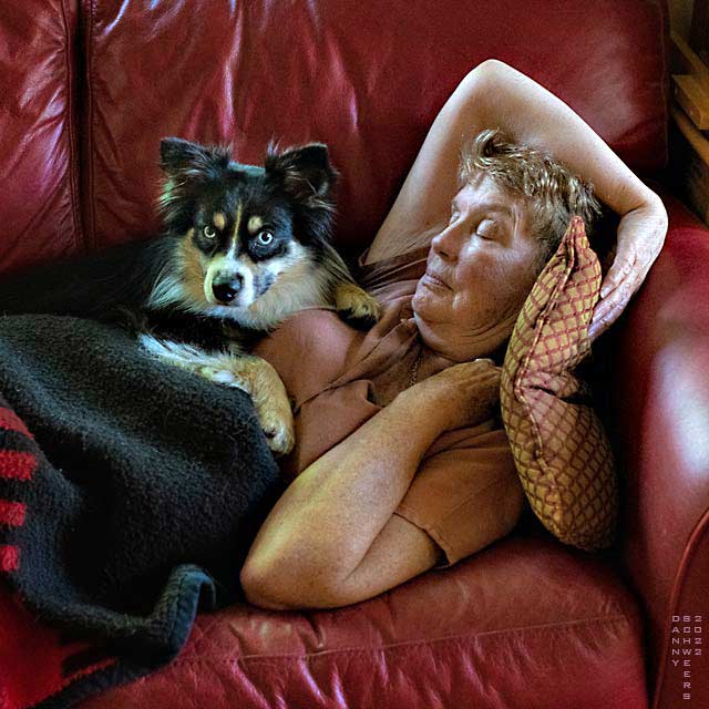 Photo of alert dog and sleeping wife